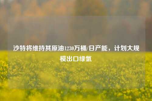 沙特将维持其原油1230万桶/日产能，计划大规模出口绿氢