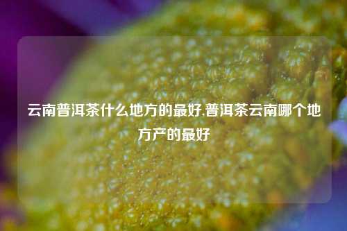 云南普洱茶什么地方的最好,普洱茶云南哪个地方产的最好