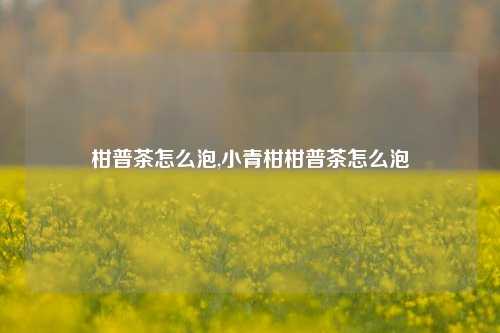 柑普茶怎么泡,小青柑柑普茶怎么泡