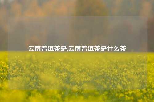 云南普洱茶是,云南普洱茶是什么茶