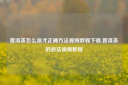 普洱茶怎么泡才正确方法视频教程下载,普洱茶的泡法视频教程