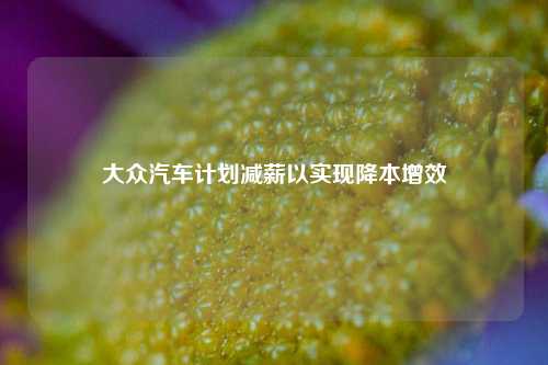 大众汽车计划减薪以实现降本增效