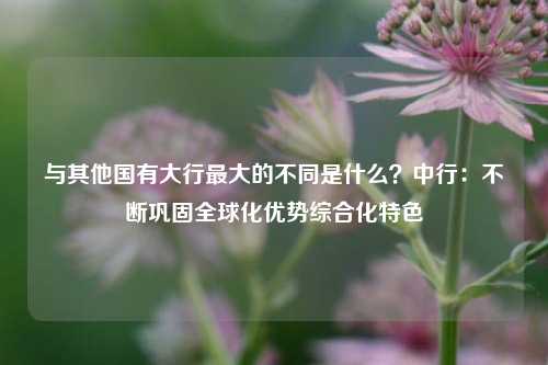 与其他国有大行最大的不同是什么？中行：不断巩固全球化优势综合化特色