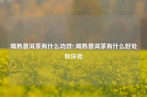 喝熟普洱茶有什么功效?,喝熟普洱茶有什么好处和坏处