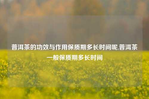 普洱茶的功效与作用保质期多长时间呢,普洱茶一般保质期多长时间