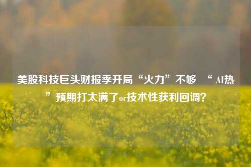 美股科技巨头财报季开局“火力”不够  “ AI热”预期打太满了or技术性获利回调？