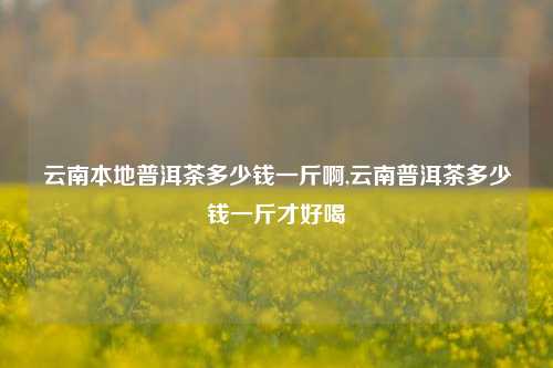 云南本地普洱茶多少钱一斤啊,云南普洱茶多少钱一斤才好喝