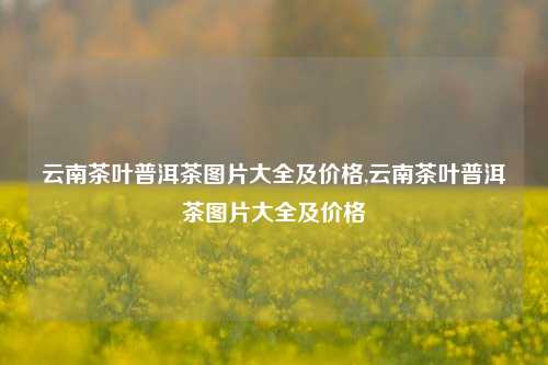 云南茶叶普洱茶图片大全及价格,云南茶叶普洱茶图片大全及价格