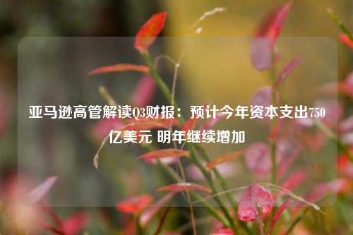 亚马逊高管解读Q3财报：预计今年资本支出750亿美元 明年继续增加