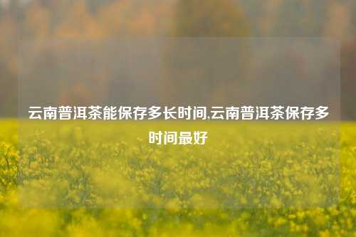 云南普洱茶能保存多长时间,云南普洱茶保存多时间最好