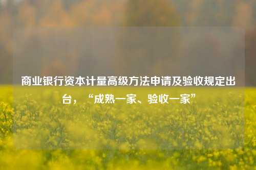 商业银行资本计量高级方法申请及验收规定出台，“成熟一家、验收一家”