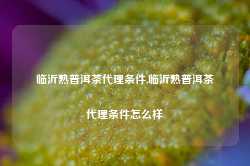 临沂熟普洱茶代理条件,临沂熟普洱茶代理条件怎么样