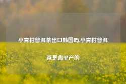 小青柑普洱茶出口韩国吗,小青柑普洱茶是哪里产的