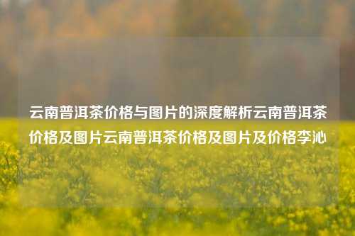 云南普洱茶价格与图片的深度解析云南普洱茶价格及图片云南普洱茶价格及图片及价格李沁