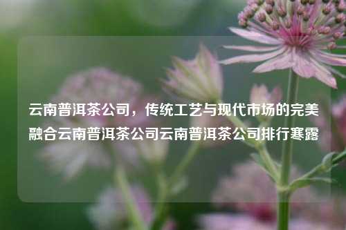 云南普洱茶公司，传统工艺与现代市场的完美融合云南普洱茶公司云南普洱茶公司排行寒露