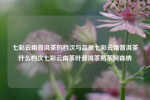 七彩云南普洱茶的档次与品质七彩云南普洱茶什么档次七彩云南茶叶普洱茶熟茶阿森纳