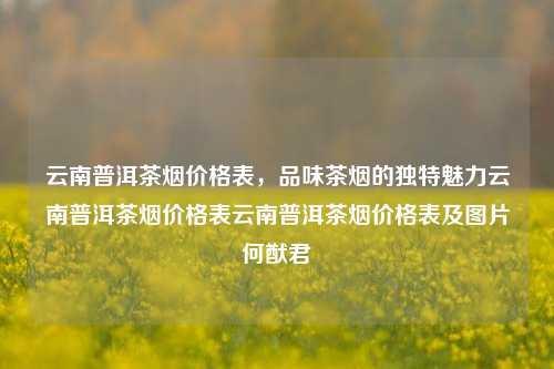 云南普洱茶烟价格表，品味茶烟的独特魅力云南普洱茶烟价格表云南普洱茶烟价格表及图片何猷君