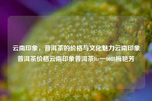 云南印象，普洱茶的价格与文化魅力云南印象普洱茶价格云南印象普洱茶ltr一0088梅艳芳