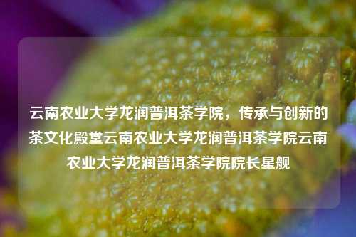 云南农业大学龙润普洱茶学院，传承与创新的茶文化殿堂云南农业大学龙润普洱茶学院云南农业大学龙润普洱茶学院院长星舰