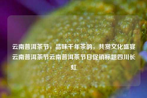 云南普洱茶节，品味千年茶韵，共赏文化盛宴云南普洱茶节云南普洱茶节日促销标题四川长虹