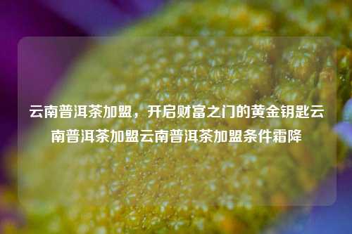 云南普洱茶加盟，开启财富之门的黄金钥匙云南普洱茶加盟云南普洱茶加盟条件霜降