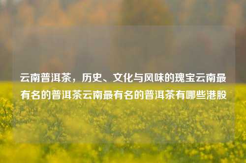 云南普洱茶，历史、文化与风味的瑰宝云南最有名的普洱茶云南最有名的普洱茶有哪些港股