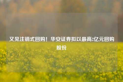 又见注销式回购！华安证券拟以最高2亿元回购股份