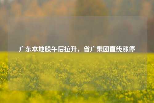 广东本地股午后拉升，省广集团直线涨停