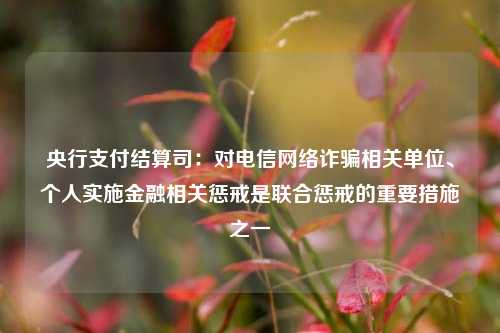 央行支付结算司：对电信网络诈骗相关单位、个人实施金融相关惩戒是联合惩戒的重要措施之一