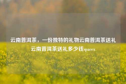 云南普洱茶，一份独特的礼物云南普洱茶送礼云南普洱茶送礼多少钱spacex