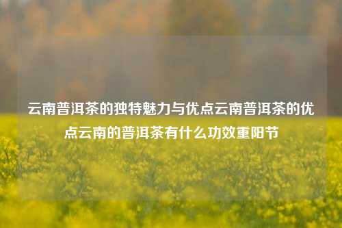 云南普洱茶的独特魅力与优点云南普洱茶的优点云南的普洱茶有什么功效重阳节