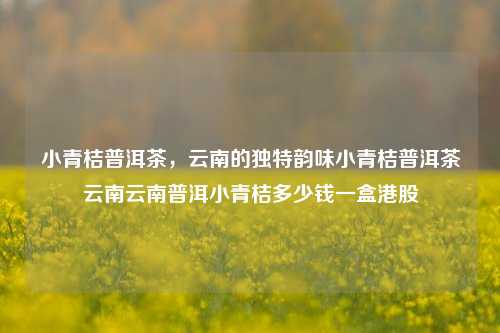 小青桔普洱茶，云南的独特韵味小青桔普洱茶云南云南普洱小青桔多少钱一盒港股