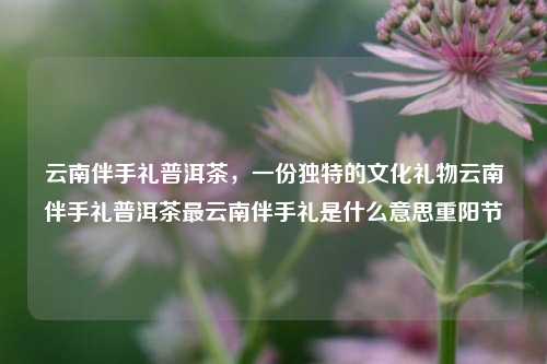 云南伴手礼普洱茶，一份独特的文化礼物云南伴手礼普洱茶最云南伴手礼是什么意思重阳节