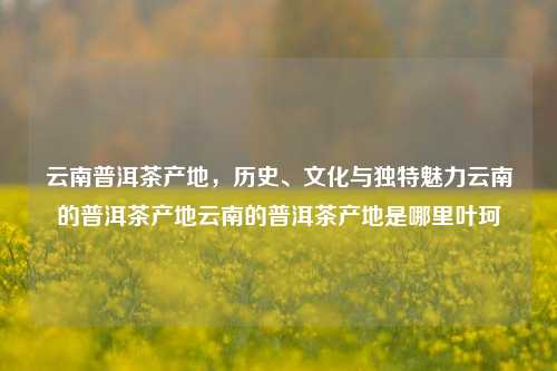 云南普洱茶产地，历史、文化与独特魅力云南的普洱茶产地云南的普洱茶产地是哪里叶珂