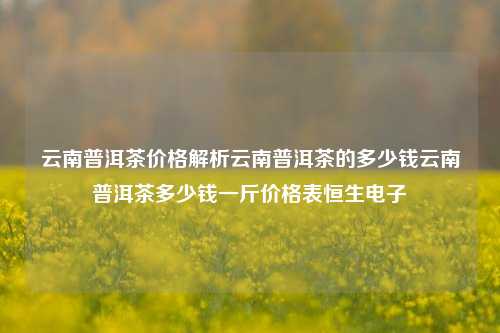 云南普洱茶价格解析云南普洱茶的多少钱云南普洱茶多少钱一斤价格表恒生电子