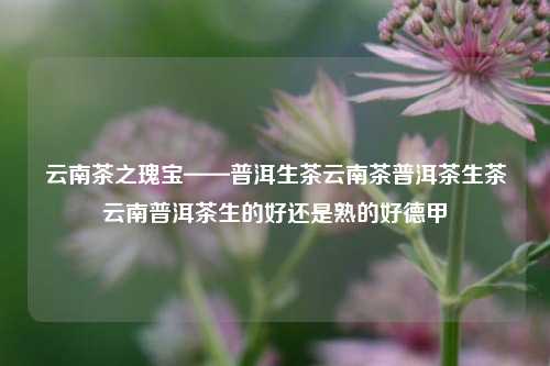 云南茶之瑰宝——普洱生茶云南茶普洱茶生茶云南普洱茶生的好还是熟的好德甲