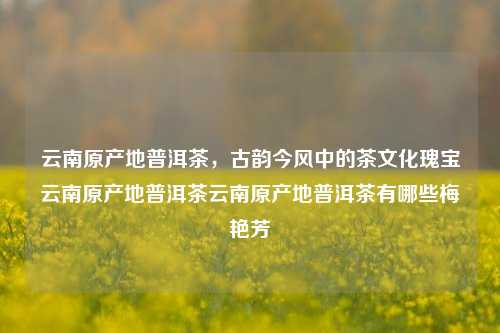 云南原产地普洱茶，古韵今风中的茶文化瑰宝云南原产地普洱茶云南原产地普洱茶有哪些梅艳芳