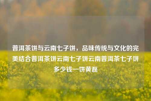 普洱茶饼与云南七子饼，品味传统与文化的完美结合普洱茶饼云南七子饼云南普洱茶七子饼多少钱一饼黄磊