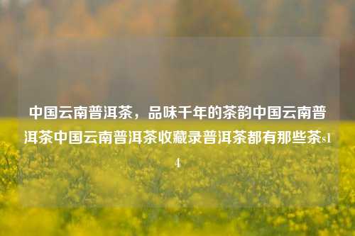 中国云南普洱茶，品味千年的茶韵中国云南普洱茶中国云南普洱茶收藏录普洱茶都有那些茶s14