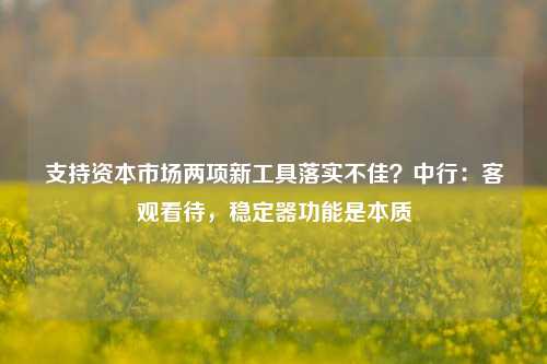 支持资本市场两项新工具落实不佳？中行：客观看待，稳定器功能是本质