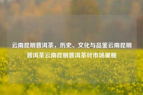 云南昆明普洱茶，历史、文化与品鉴云南昆明普洱茶云南昆明普洱茶叶市场星舰