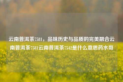 云南普洱茶7581，品味历史与品质的完美融合云南普洱茶7581云南普洱茶7542是什么意思药水哥