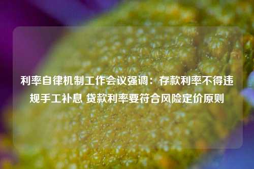 利率自律机制工作会议强调：存款利率不得违规手工补息 贷款利率要符合风险定价原则