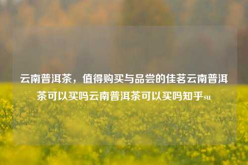 云南普洱茶，值得购买与品尝的佳茗云南普洱茶可以买吗云南普洱茶可以买吗知乎su