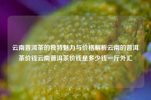 云南普洱茶的独特魅力与价格解析云南的普洱茶价钱云南普洱茶价钱是多少钱一斤外汇