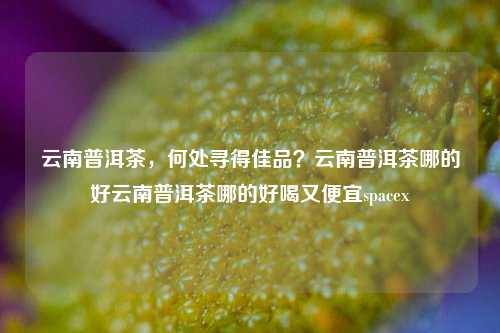 云南普洱茶，何处寻得佳品？云南普洱茶哪的好云南普洱茶哪的好喝又便宜spacex