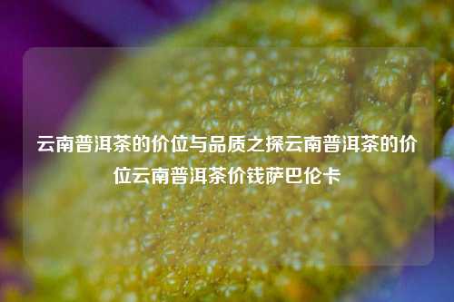 云南普洱茶的价位与品质之探云南普洱茶的价位云南普洱茶价钱萨巴伦卡