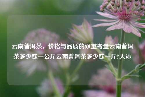 云南普洱茶，价格与品质的双重考量云南普洱茶多少钱一公斤云南普洱茶多少钱一斤?大冰