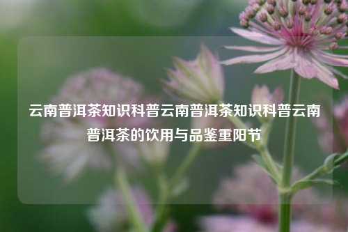 云南普洱茶知识科普云南普洱茶知识科普云南普洱茶的饮用与品鉴重阳节