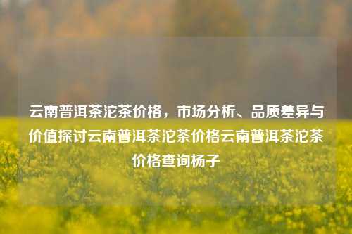 云南普洱茶沱茶价格，市场分析、品质差异与价值探讨云南普洱茶沱茶价格云南普洱茶沱茶价格查询杨子